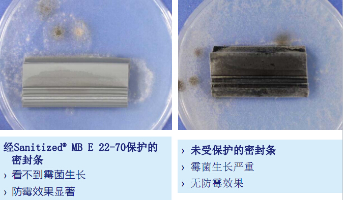 TPE抗菌材料效果 TPE抗菌材料效果
