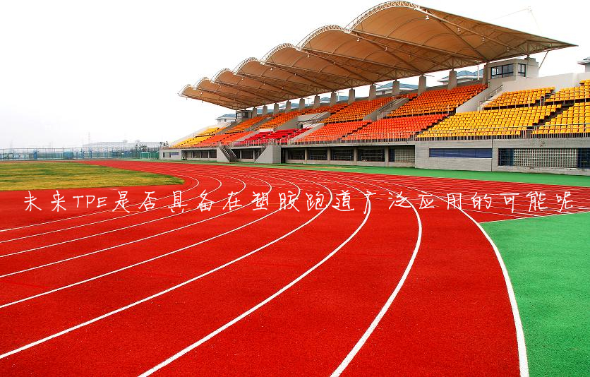 塑膠跑道tpe 塑膠跑道tpe